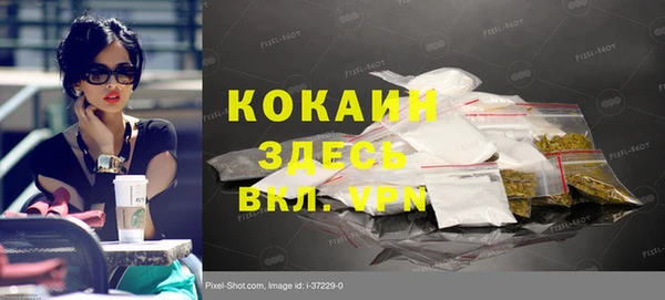 гашик Алексеевка