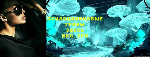 гашик Алексеевка