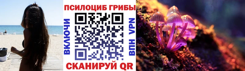 Галлюциногенные грибы MAGIC MUSHROOMS  Николаевск 